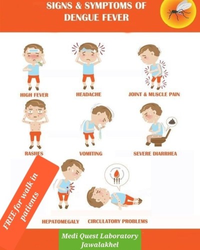 Signs & Symptoms of Dengue