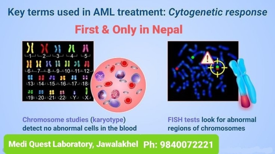 Karyotype Test available