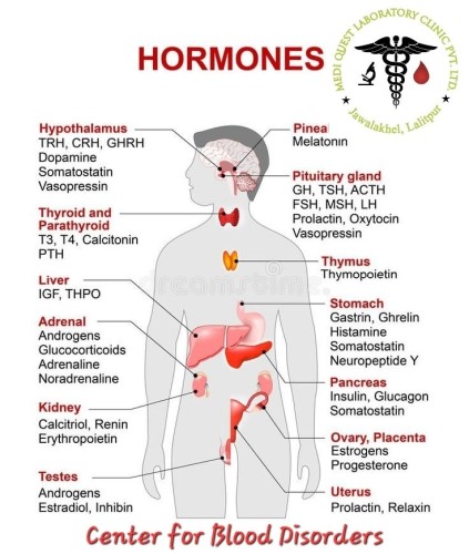 Know about your Hormones