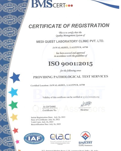 Medi Quest Lab ISO 9001 certified since July 2022